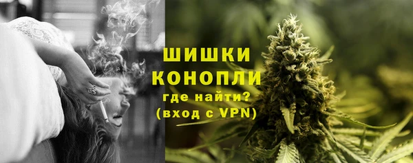 крисы Магас