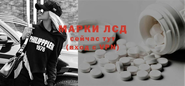 крисы Магас