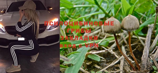 a pvp Майский